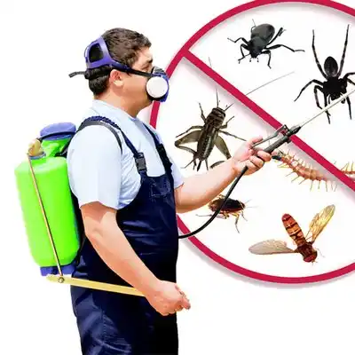 pest control Grantsville
